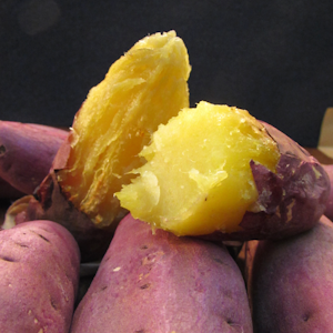 東海漬物 甘太くん 1枚目