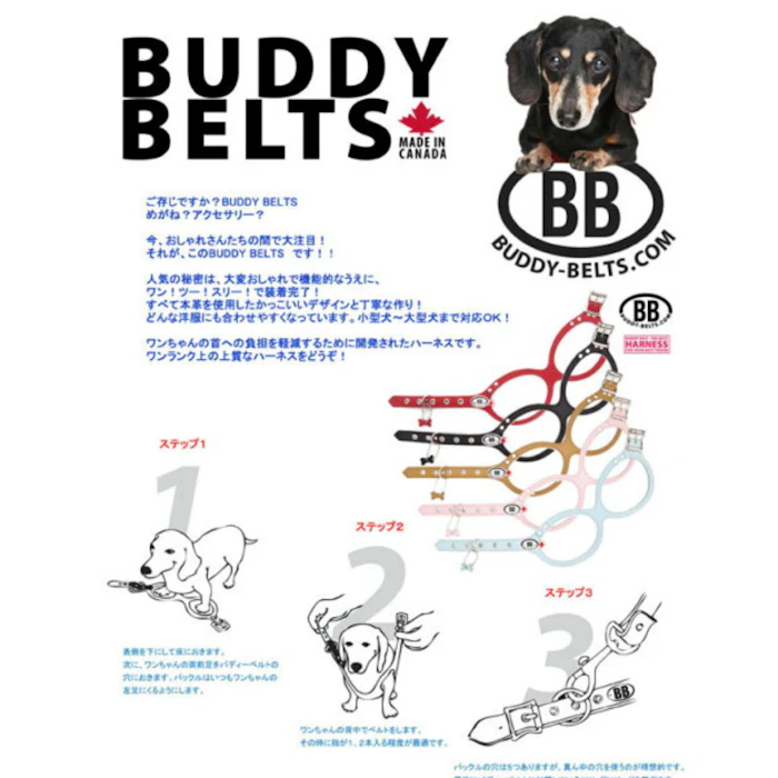 BUDDY BELTES バディーベルト 獣医師推奨 BBハーネス バディーベルト 3.5号 ペット 犬 レザー 本革 用 BUDDY BELT BUDDYBELT犬 犬用 ペット ドッグ バディベルト正規輸入代理店 正規店 6枚目
