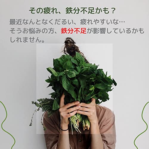 健康応援団 鉄 1ヵ月分 サプリメント 葉酸プラス 1袋 30粒 鉄分 Fe ビタミンB群 B2 B6 B12 2枚目