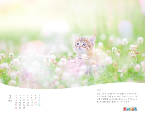 にゃっぷる 保護ねこカレンダー2026 卓上版「幸せつないだ12匹のこねこ」／ねこの保護団体への寄付つき 2枚目