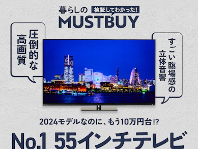 最新モデルがもう底値!?最強4Kテレビ「REGZA」55V型有機ELは“年末商戦の即買い”が正解です【16商品比較】