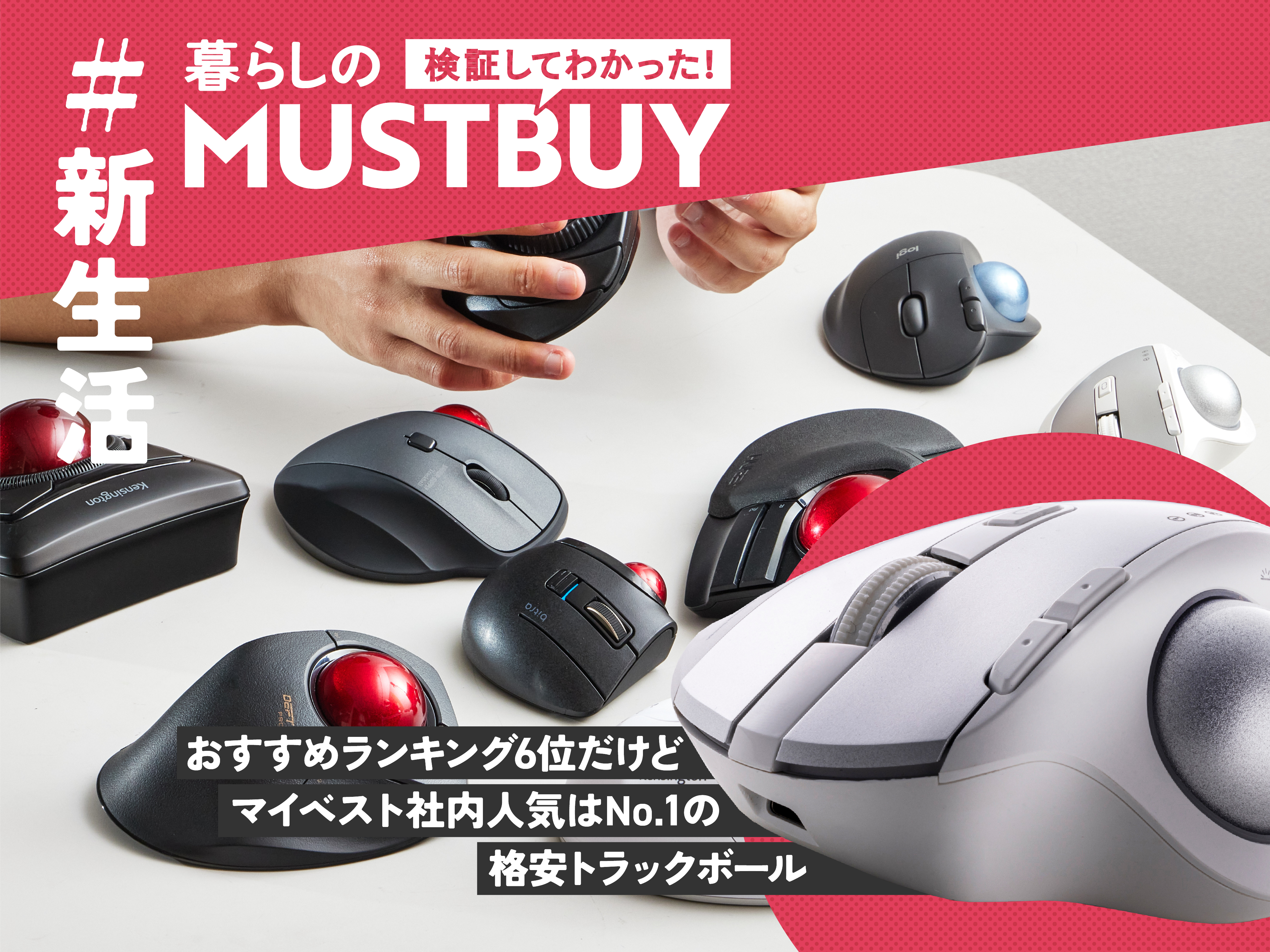 c555089fd680b592669d486b732620