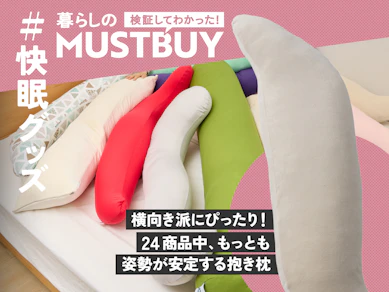 4000円でちょびっと快眠化!? 横向き派に、ふんわりフィットな「抱き枕」がいい理由【24商品比較】