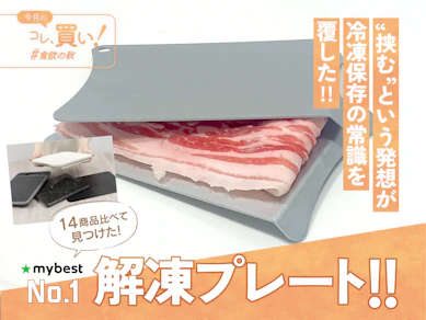ニトリ?貝印?急速解凍で時短&おいしさキープ!解凍プレートは“挟んで溶かす”が新常識でした