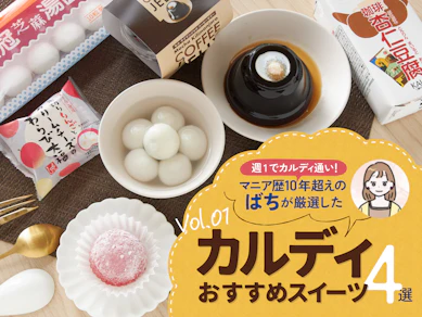 初夏に食べてほしい!カルディマニアが買ってよかったおすすめスイーツ4選【2024年6月版】