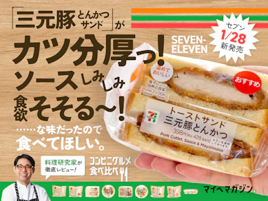 【セブン新作】やわらか三元豚&サクサク衣のカツサンドがコンビニの期待値超えてた…!!!【11食品食べ比べ】