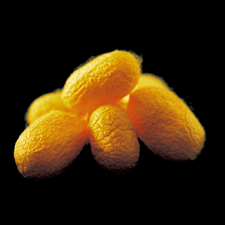 Pola B A プロテクターの悪い口コミや評判は本当 実際に使って効果検証レビュー Mybest Pola B A プロテクターの悪い口コミや評判は本当 実際に使って効果検証レビュー Mybest