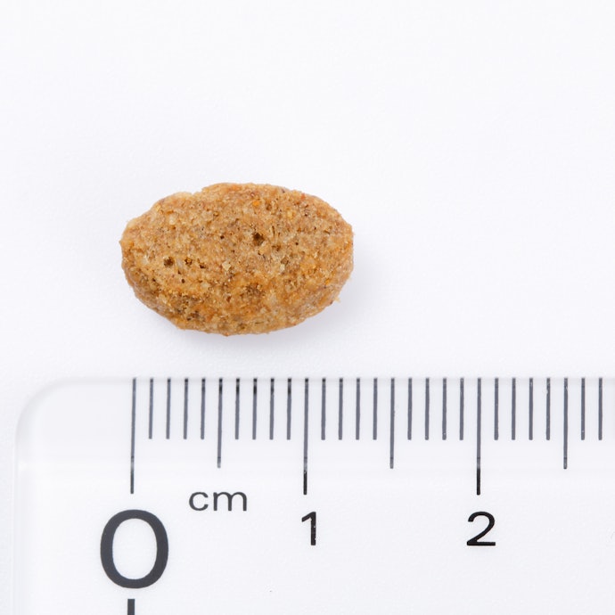 ニュートロ シュプレモ 小型犬用 成犬用の悪い口コミや評判を実際に使って検証レビュー Mybest