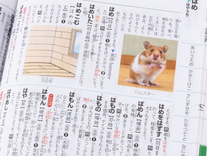 学研プラス 新レインボー小学国語辞典 の口コミや評判を実際に使って検証レビュー Mybest 学研プラス 新レインボー小学国語辞典 の口コミや評判を実際に使って検証レビュー Mybest
