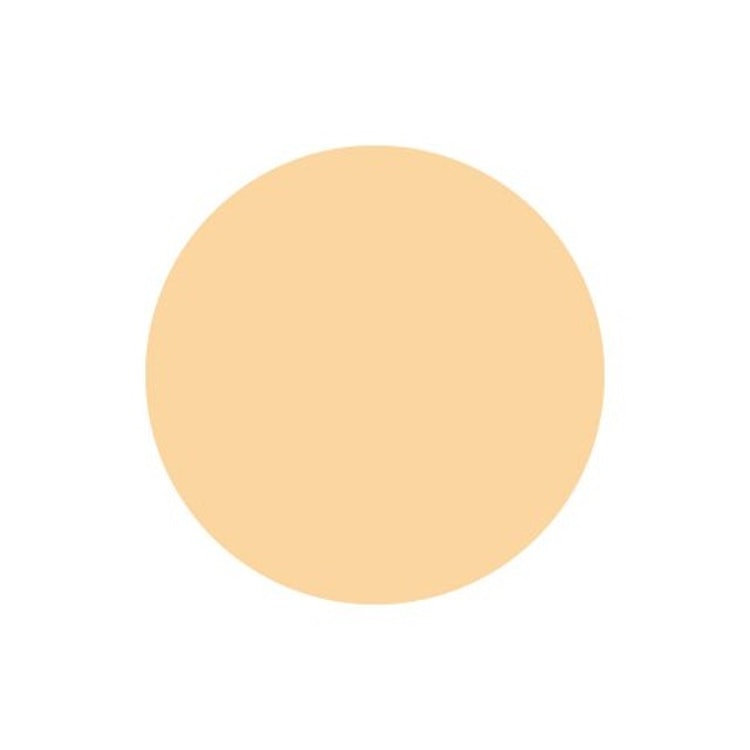 キャンメイク マシュマロフィニッシュパウダーの悪い口コミや評判を実際に使って検証レビュー Mybest