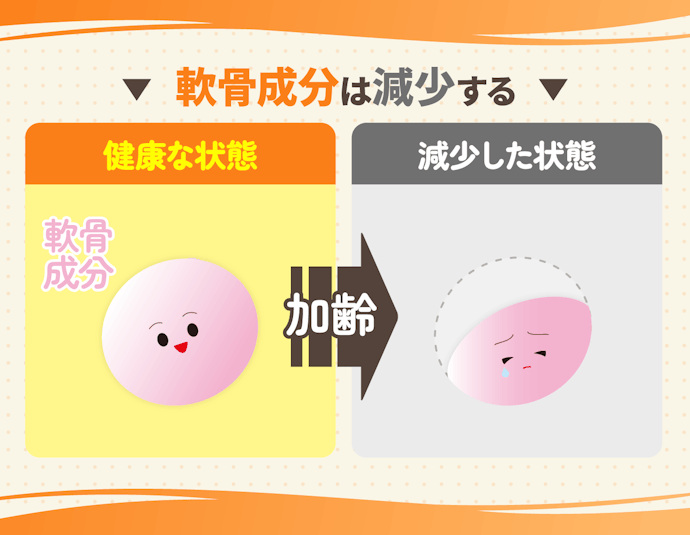 軟骨成分の減少に要注意