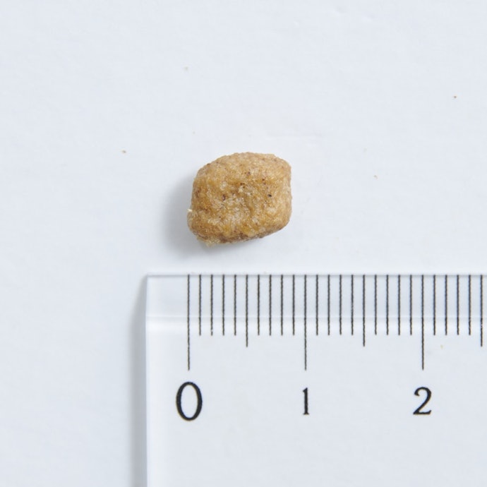 ニュートロ ナチュラルチョイス 小型犬用 成犬用 チキン&玄米はどこで売っている?