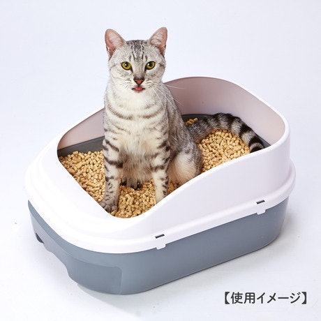 ペティオ 猫システムトイレセットはどこで買える?