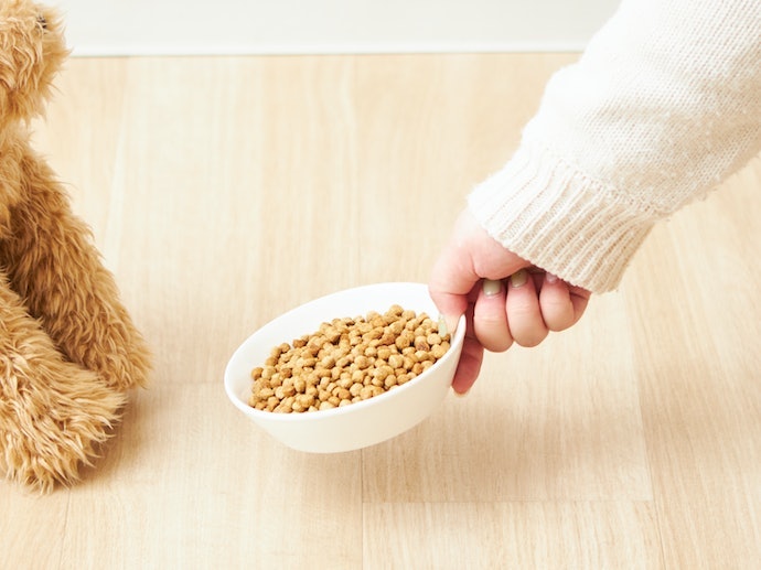 シニア犬の食欲不振はどうやって見分ける?
