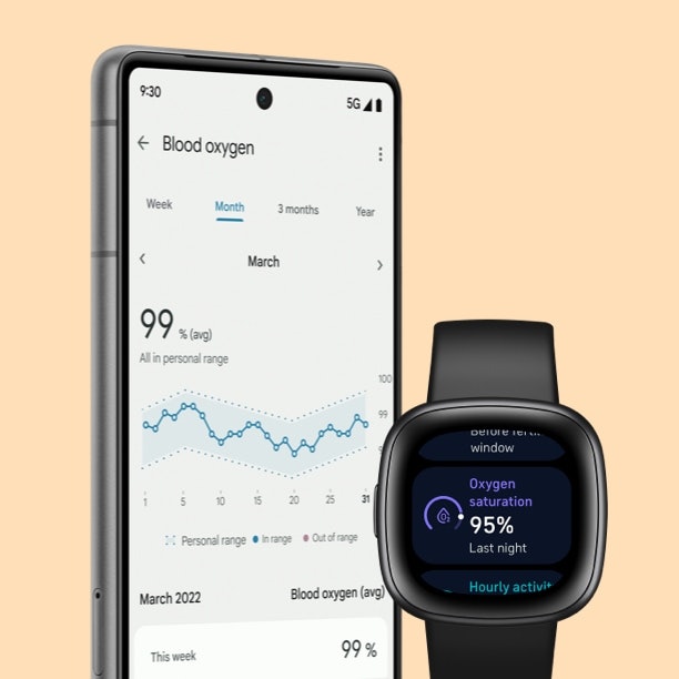 Fitbit Versa 4はどこで売っている?