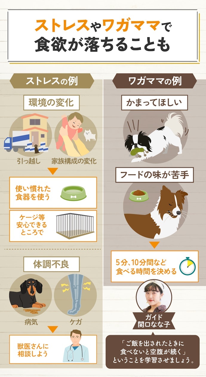 犬の食欲不振はストレスやワガママが原因!?