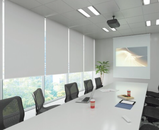 タチカワブラインド ロールスクリーン ラルクシールド フェアIIの