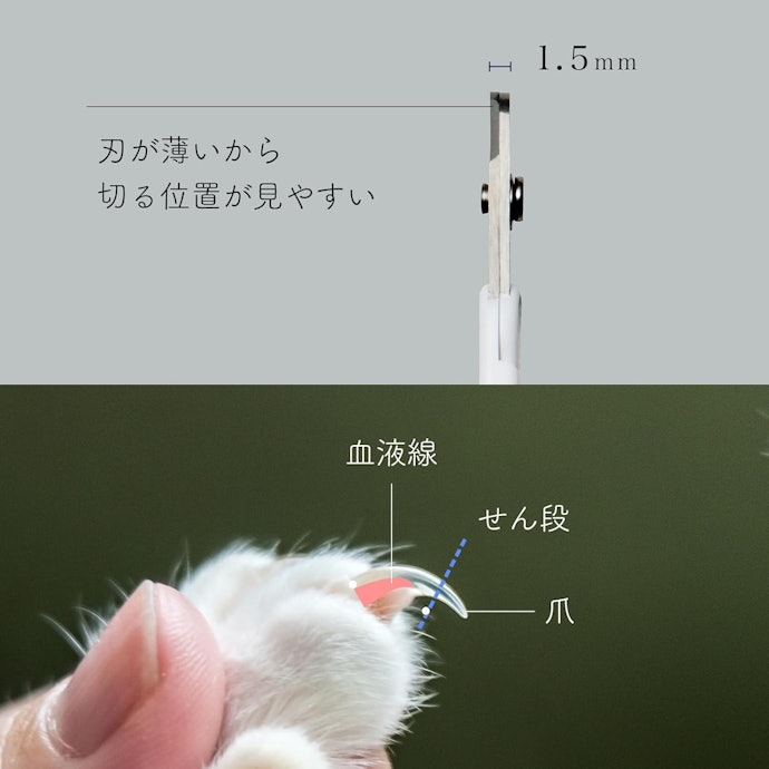 猫壱 ストレスなくスパッと切れる猫用爪切りの使い方と出血時の対処法は?