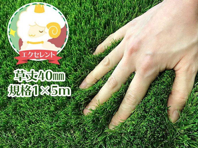 ふわふわターフ エクセレントはどこで買える?