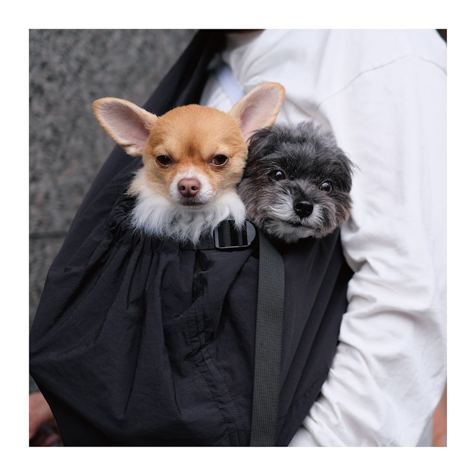 マンダリンブラザーズ MB SLINGが向いていない人におすすめの犬用スリング・抱っこ紐は?