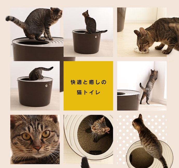 アイリスオーヤマ 上から猫トイレ システムタイプはどこで買える?