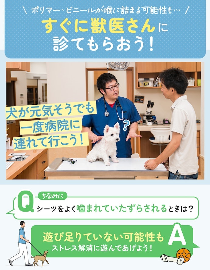 愛犬がペットシーツを食べてしまったら?