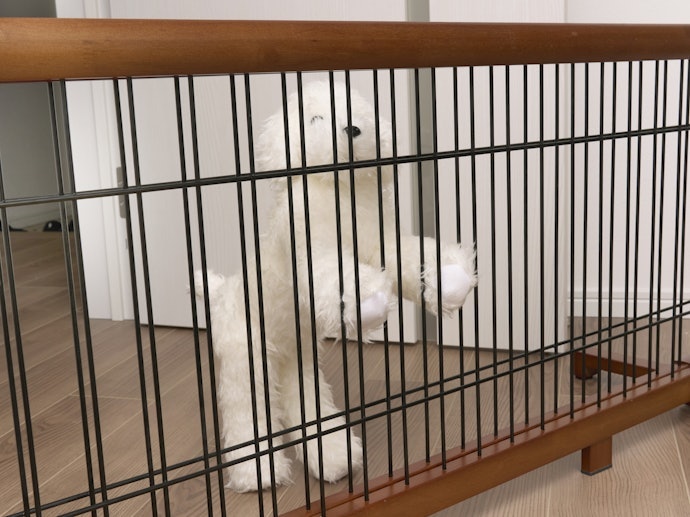 日本育児 ペットゲート ガーディ ハイタイプのほかにおすすめの犬用ゲートは?