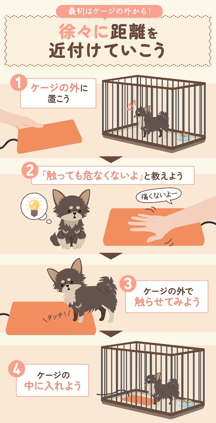 ペット用ホットカーペットにどうしたら慣れてもらえる?
