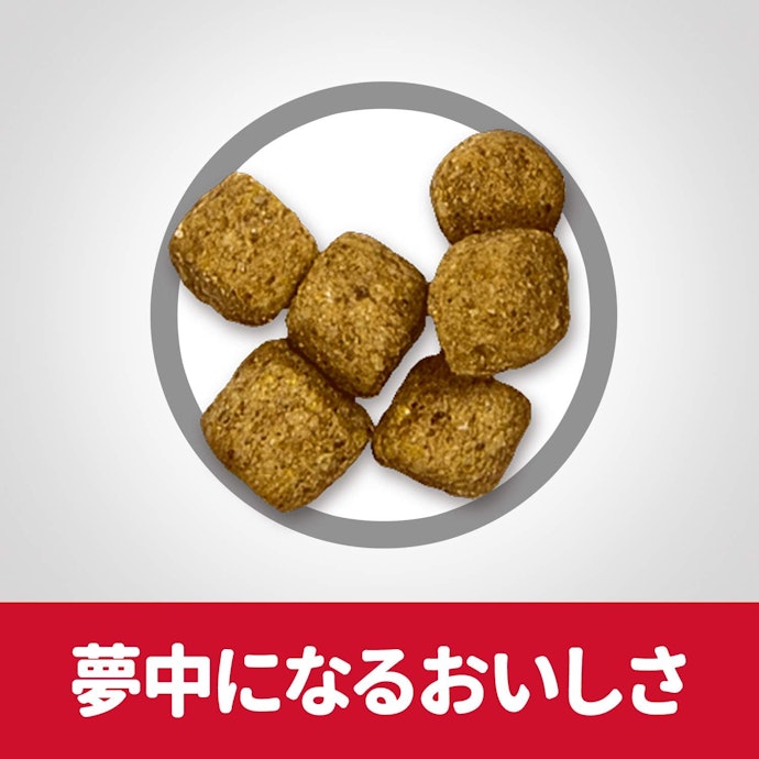 ヒルズ サイエンス・ダイエット シニアライト 小粒 7歳以上 肥満傾向の高齢犬用 チキンはどこで買える?