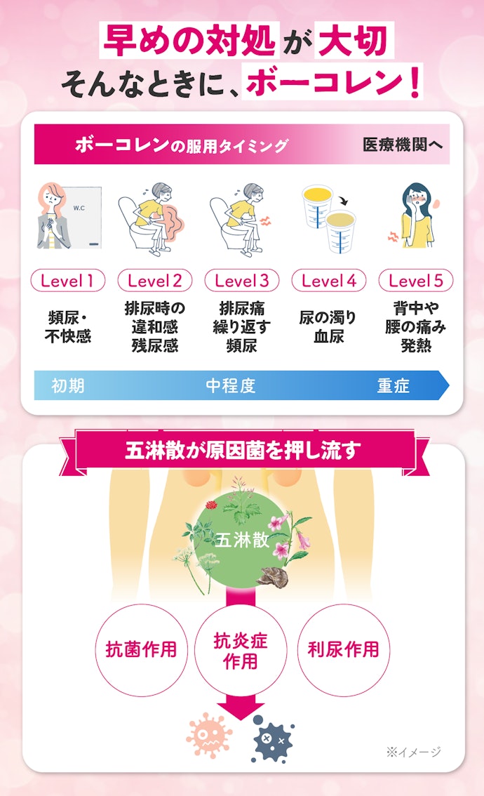 はじめに結論!手軽に購入できるから早めのセルフケアに役立つ!“忙しい女性の味方”だった