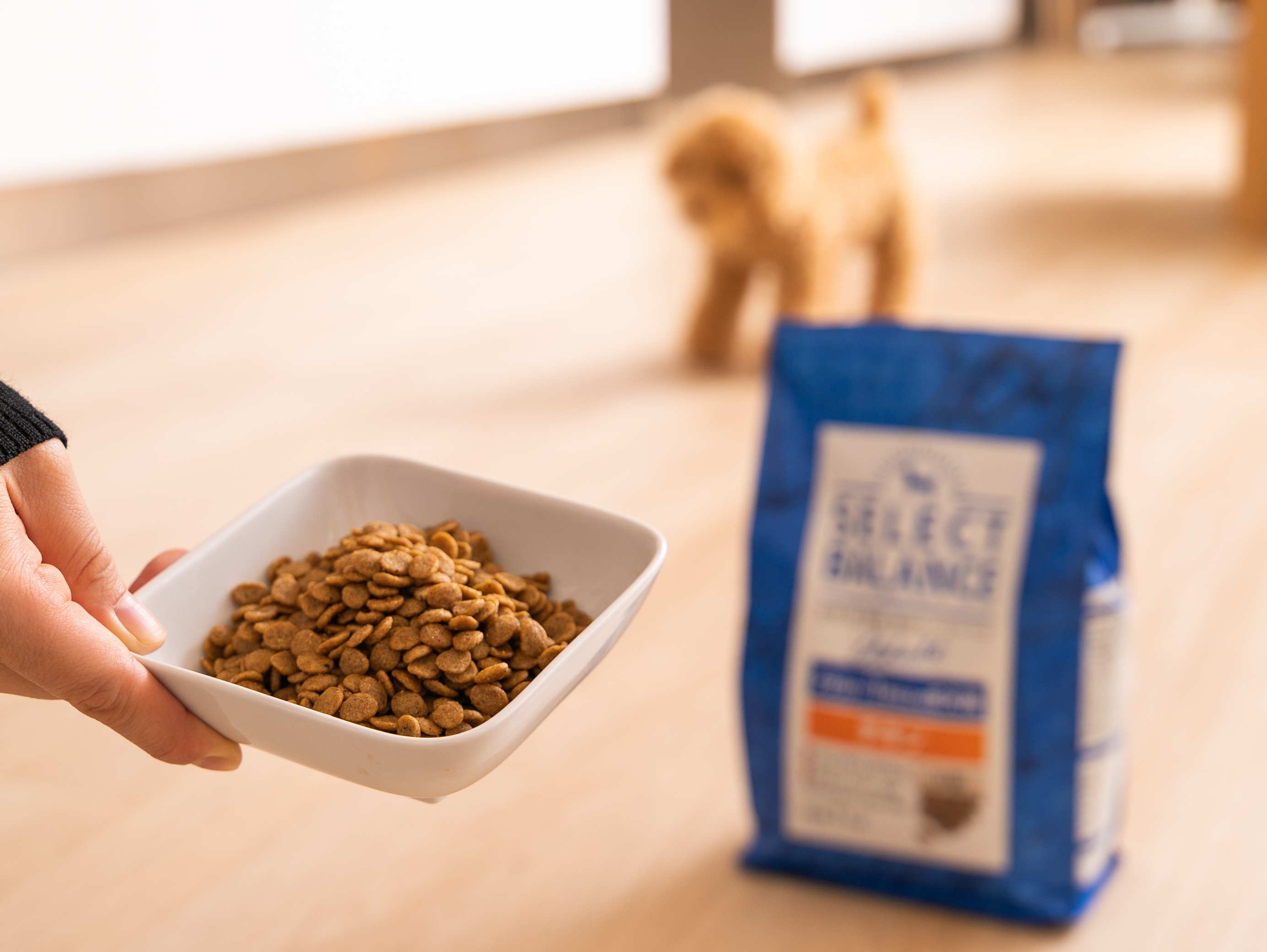 15kg】セレクトバランス スリムラム 成犬の体重管理用 ドッグフード