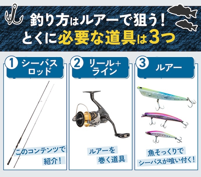 シーバス釣りに必要なアイテムは、この3つ!