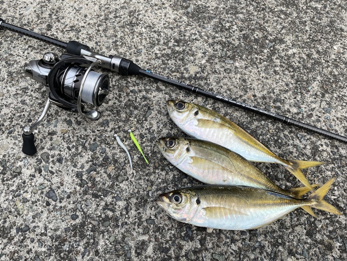 宵姫爽 S58FL solid 宵姫爽 S58FL solid