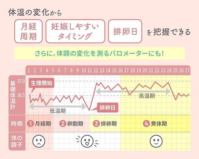 基礎体温の変化から何がわかる?