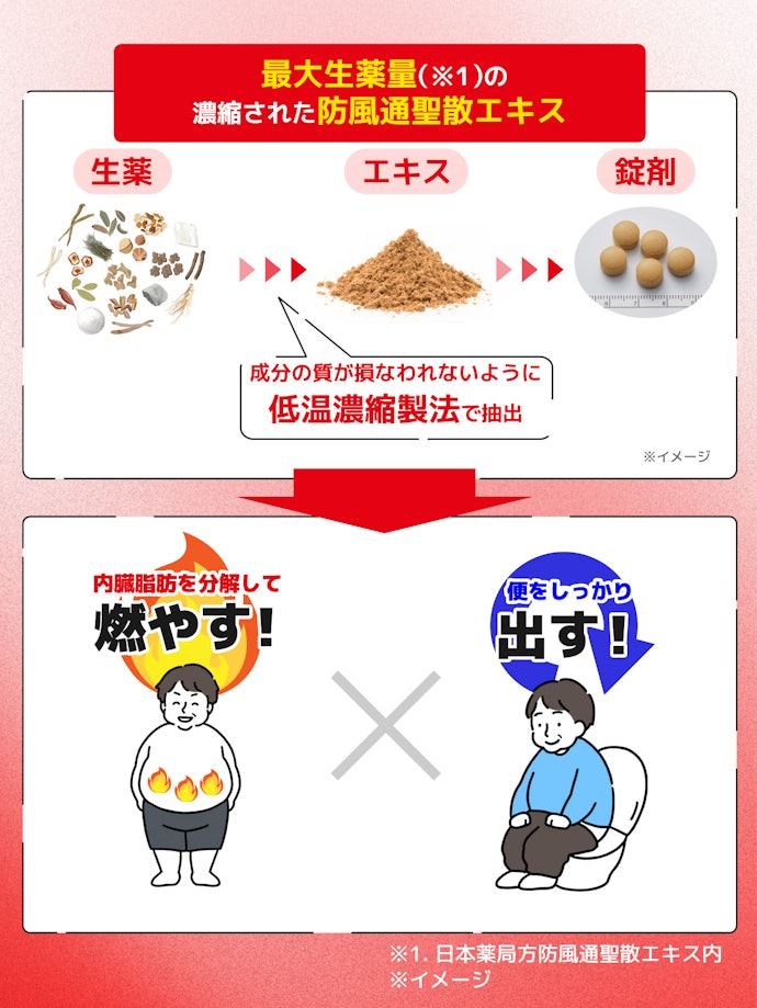 はじめに結論!「燃やす&出す」でアプローチ!お腹の脂肪が落ちにくくなったと感じている人に