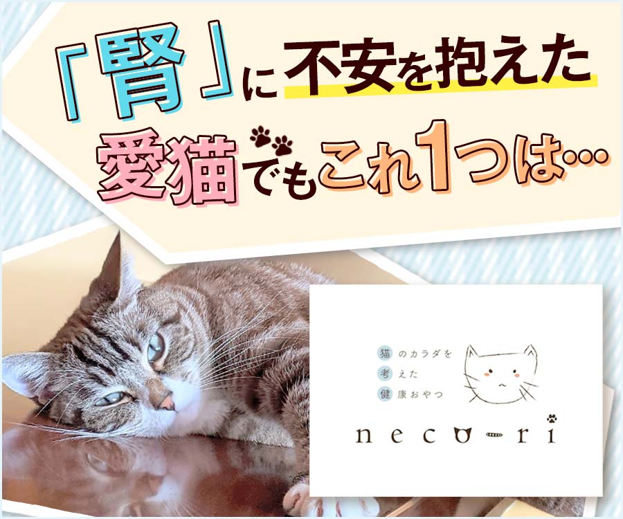 neco-ri 10g×10包 12箱 ねこり 店舗在庫有り - clinicaviterbo.com.br