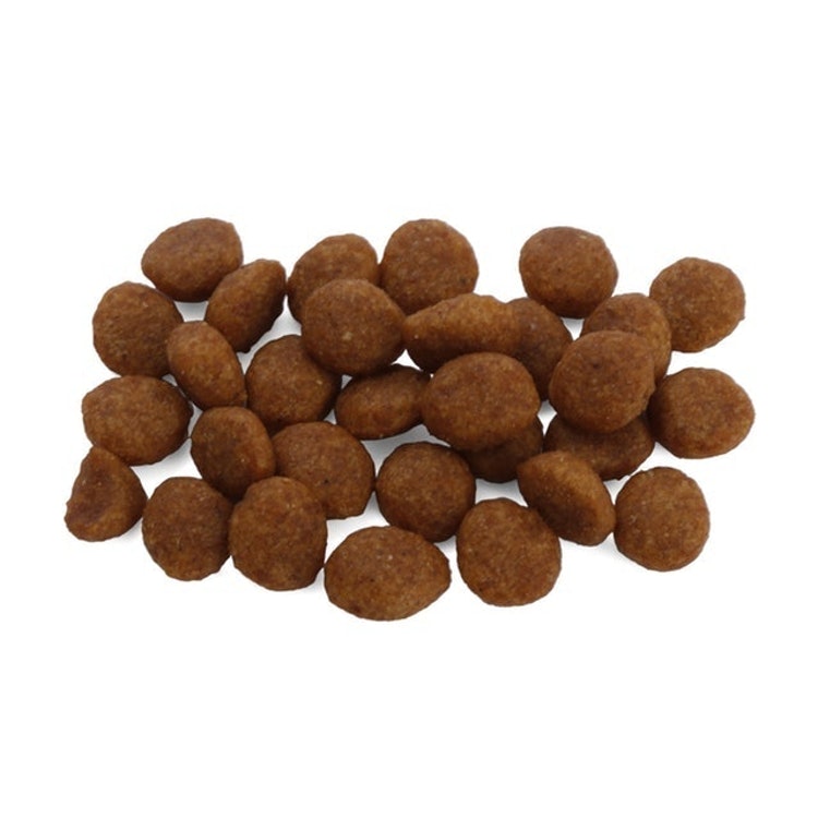 サクラペットフード ドライフード カリカリタイプ を全24商品と比較 口コミや評判を実際に使ってレビューしました Mybest