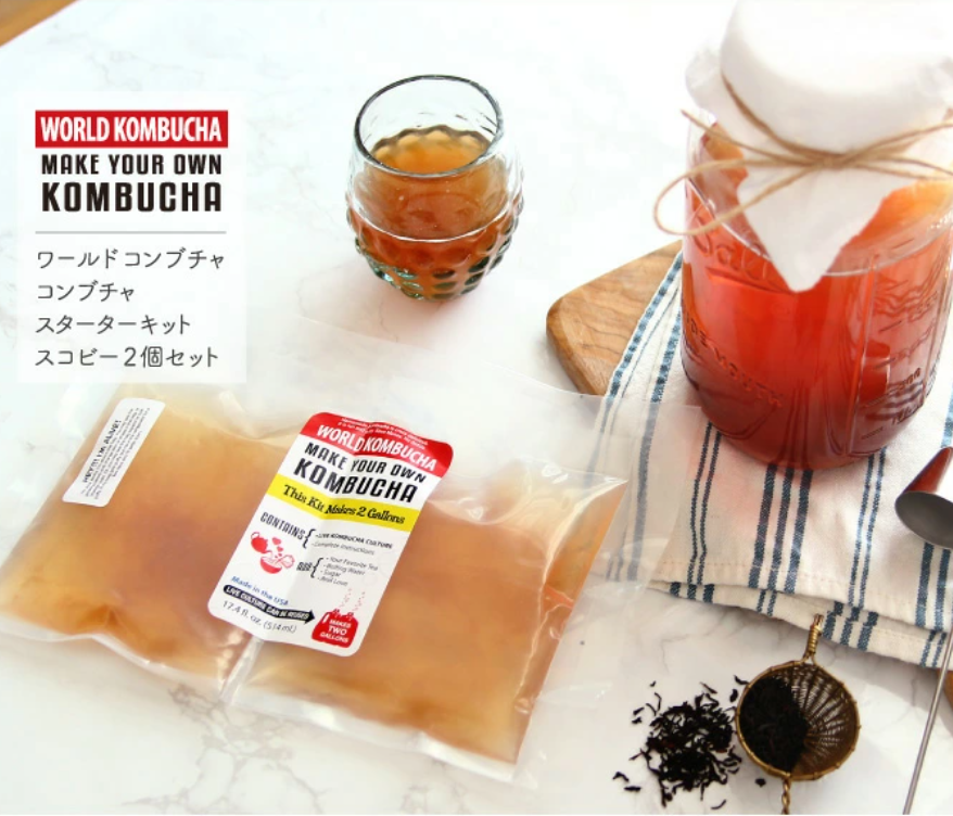 1.5L用 美発酵コンブチャ スコビー マザー菌株 基本のレシピ付き - その他