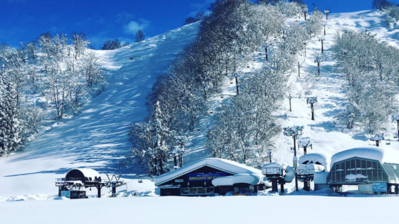 オリオンツアーを全30社と比較 口コミや評判を実際に調査してレビューしました Mybest