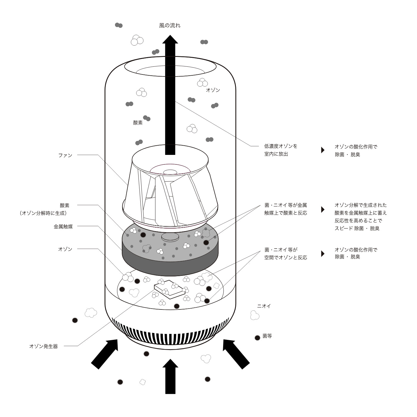 格安安い】 cado カドー 除菌脱臭機 SAP-001 SAP001 シルバー 61Yok