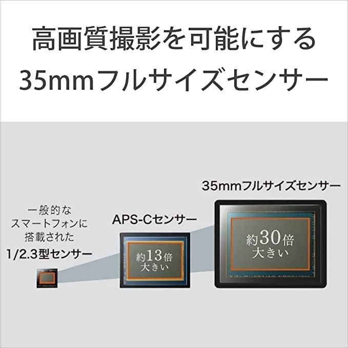 約2420万画素の35mmフルサイズセンサーを搭載。α7 IIIと同じ画像処理エンジンで解像性能も良好