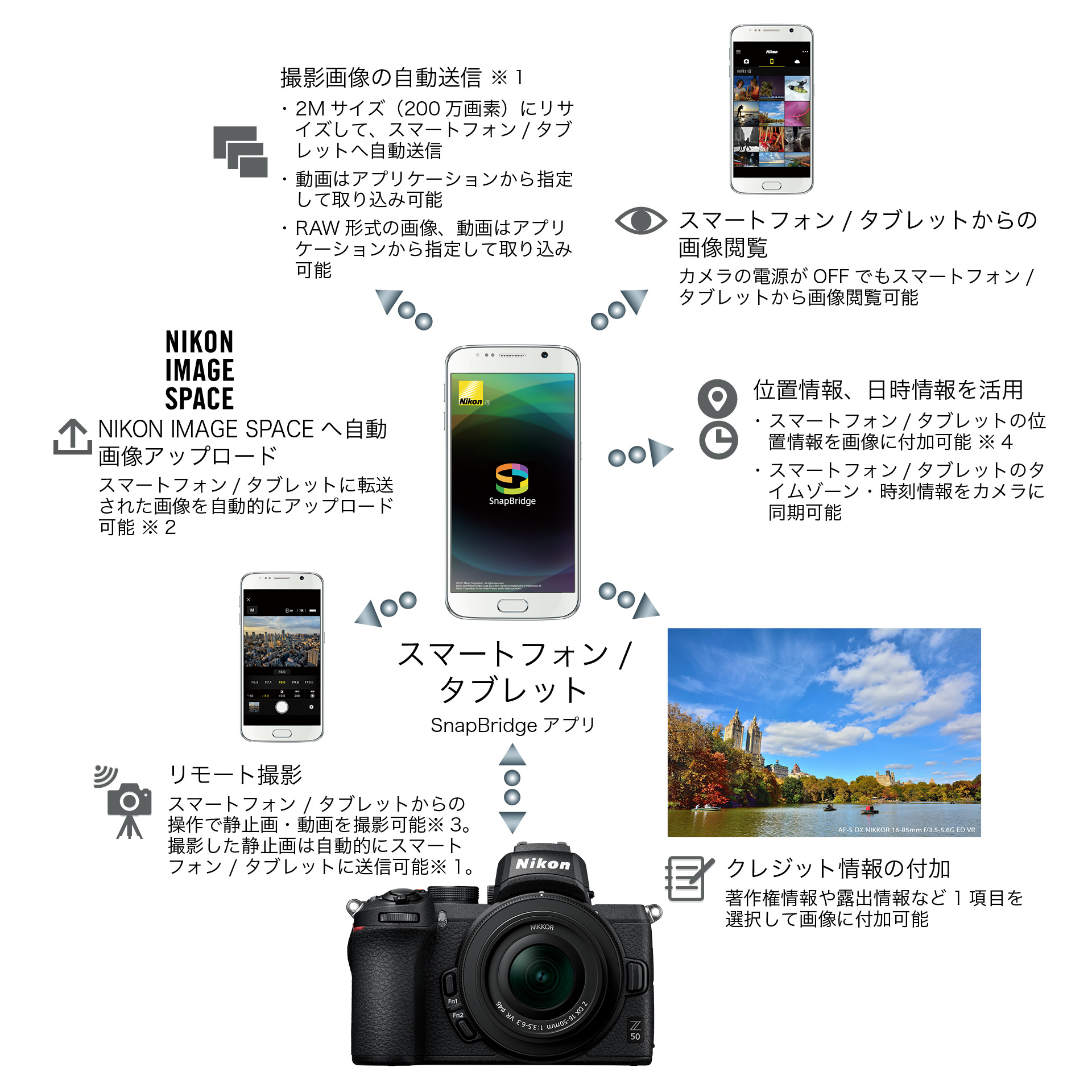 Nikon Z 50 ダブルズームキットをレビュー!クチコミ・評判をも Nikon Z 50 ダブルズームキットをレビュー!クチコミ・評判をも