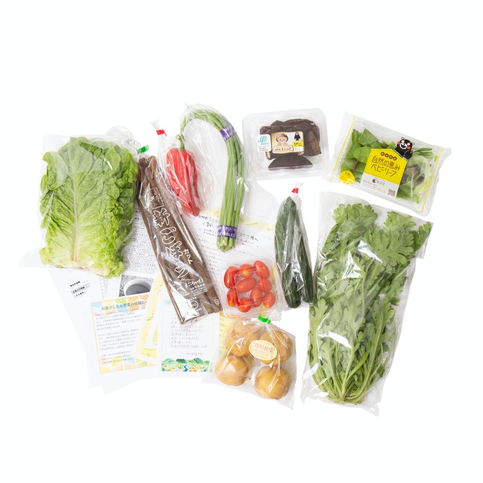 九州野菜王国を全21商品と比較 口コミや評判を実際に使ってレビューしました Mybest