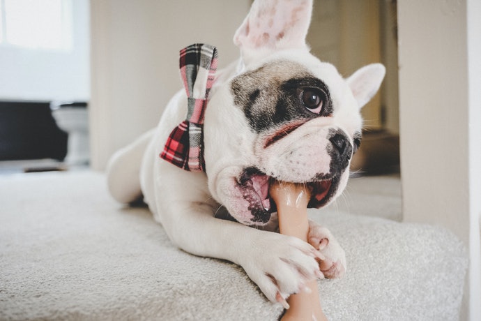 和の究み 歯みがきガムを全15商品と比較 口コミや評判を実際に使ってレビューしました Mybest