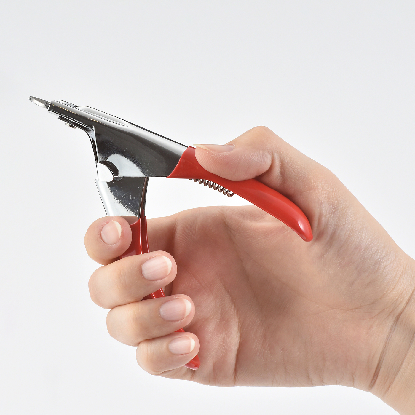 K J Shop ペット 爪切り ギロチンタイプを他商品と比較 口コミや評判を実際に使ってレビューしました Mybest