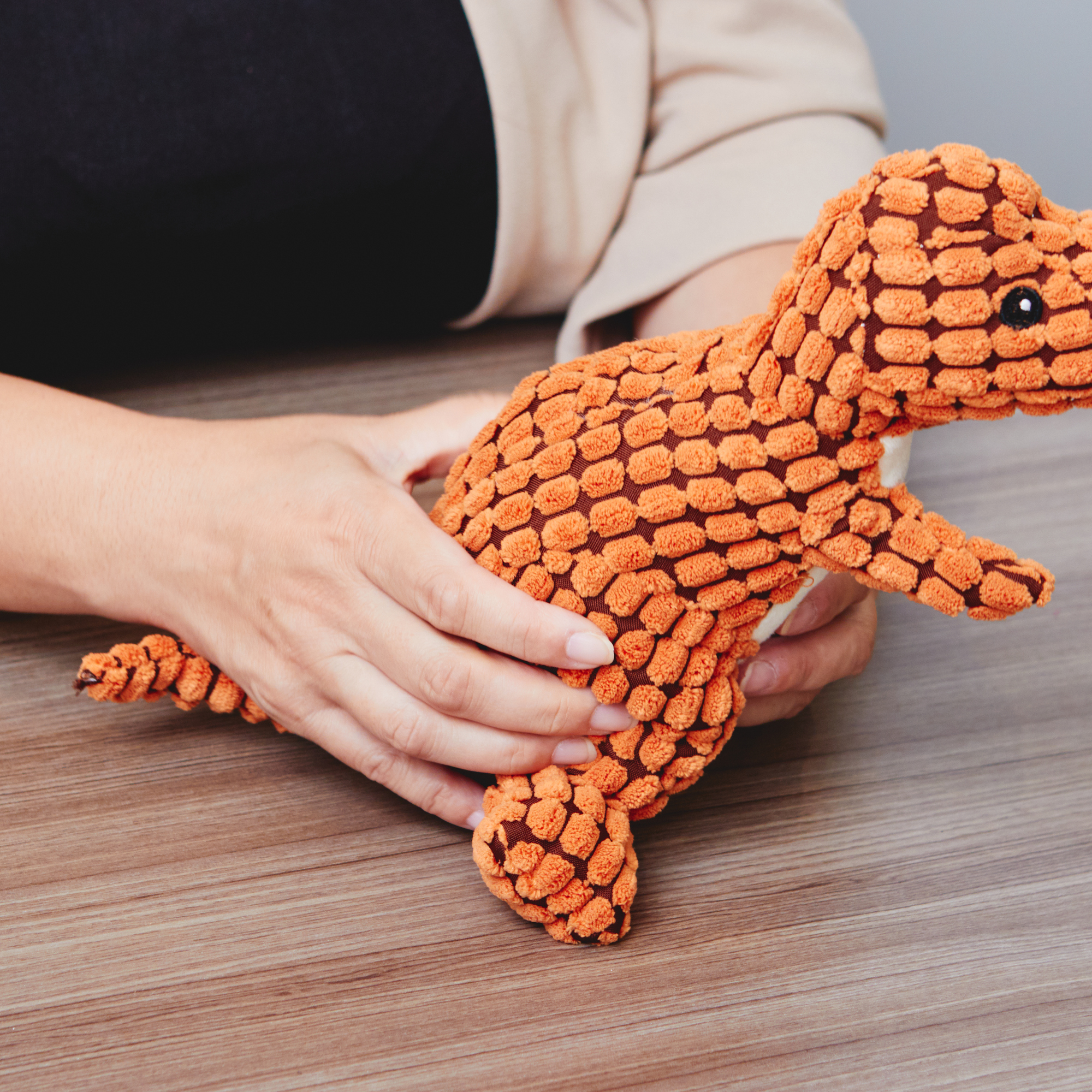 犬おもちゃ 恐竜を全15商品と比較 口コミや評判を実際に使ってレビューしました Mybest