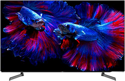 ハイセンス hisence 有機ELテレビ 55X8F ハイセンス 55X8F Hisense 55V型 有機ELパネル 4Kチューナー内蔵