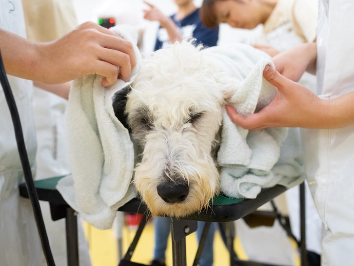 エアフォース ドライヤーを全10商品と比較 口コミや評判を実際に使ってレビューしました Mybest