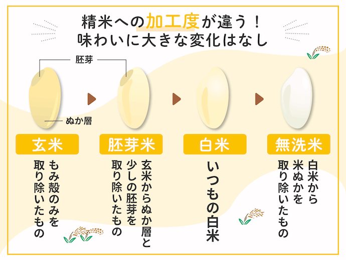 精白米と無洗米はどちらがおすすめ?