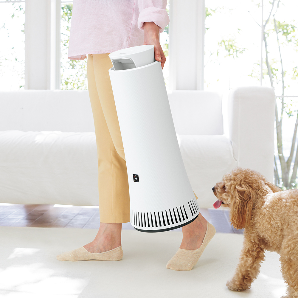 シャープ脱臭機DY－S01ユニット交換必要